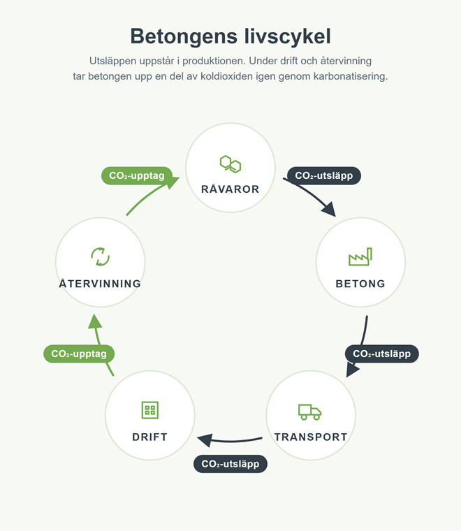 Betongens livscykel i fem steg: råvaror, betong, transport, drift och återvinning. Koldioxid släpps ut i de tre första stegen och tas delvis upp igen under drift och återvinning.